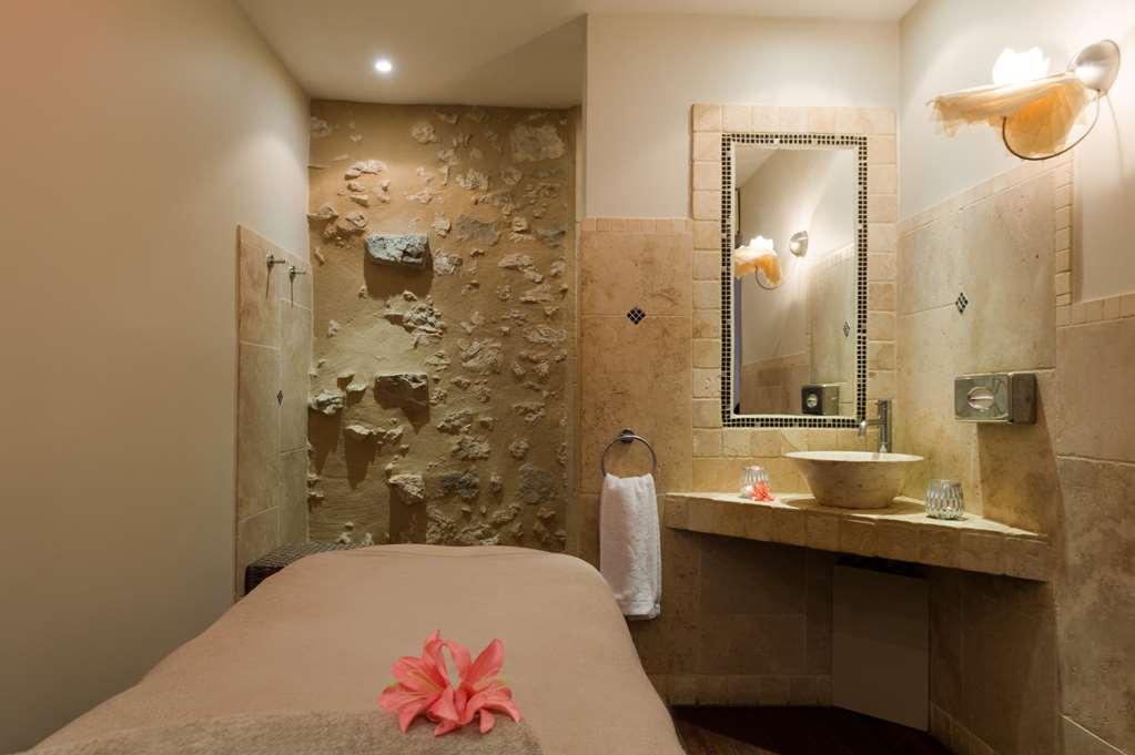 Ogaux Vieux Remparts Hotel Provins Faciliteter billede